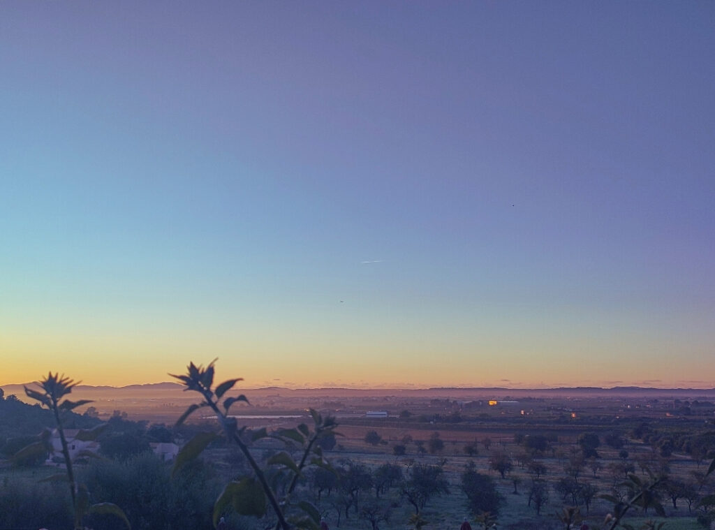 Blick auf Mallorcas Landschaft (vorne Pflanzen, leichte Berge und der Sonnenaufgang am Hozizont) aus Andreia Fernandes' Zimmer heraus - Sie lässt ihre Gedanken zu "Von der Unternehmensberaterin zur bewussten Führungskraft" schweifen