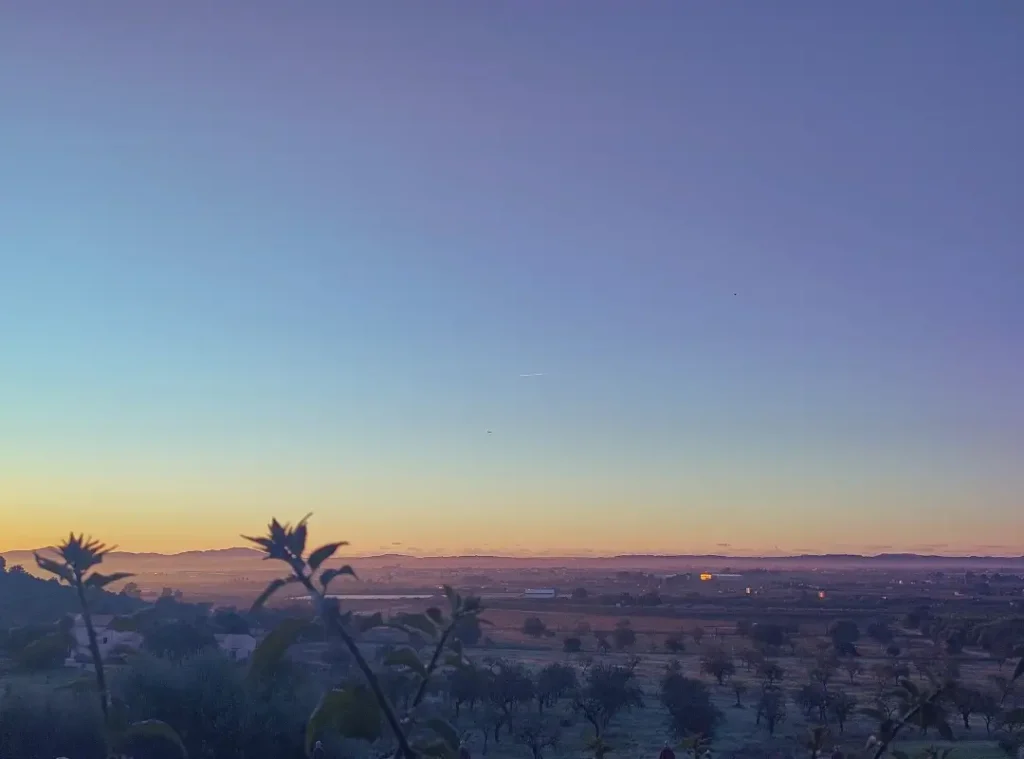 Blick auf Mallorcas Landschaft (vorne Pflanzen, leichte Berge und der Sonnenaufgang am Hozizont) aus Andreia Fernandes' Zimmer heraus - Sie lässt ihre Gedanken zu "Von der Unternehmensberaterin zur bewussten Führungskraft" schweifen