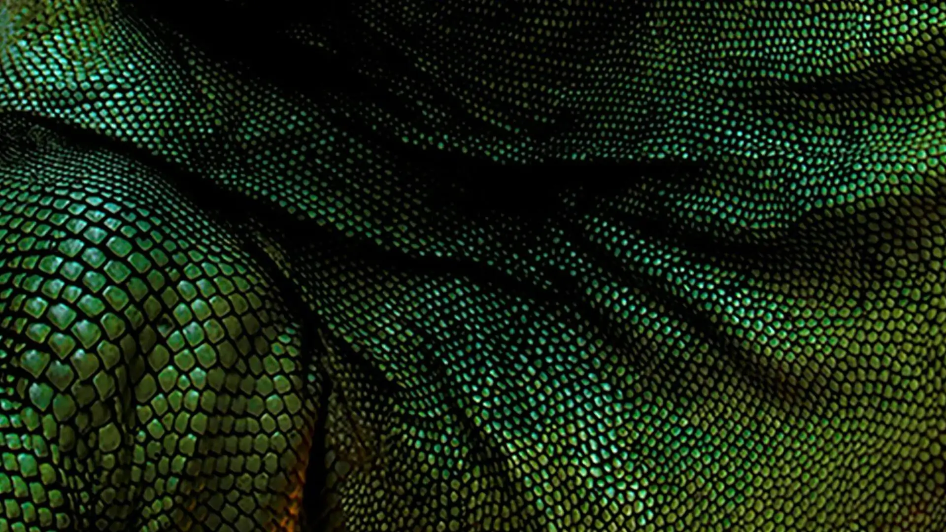 Close-up of green reptile scales symbolizing adaptability and resilience, used by Andreia Fernandes to illustrate the dinosaur principle in leadership, failure culture, and portfolio careers.
